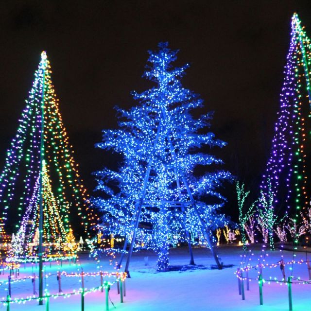 イルミネーション 雪灯りイベント 旅のテーマで探す 公式 新潟県のおすすめ観光 旅行情報 にいがた観光ナビ