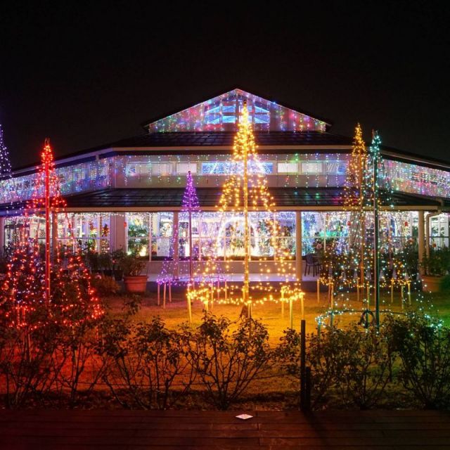 いくとぴあ食花 WINTER ILLUMINATION