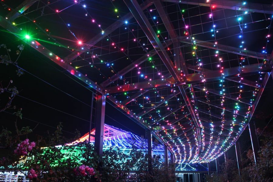 いくとぴあ食花 Winter Illumination 21 Color Of Life 新潟のイベント 公式 新潟 県のおすすめ観光 旅行情報 にいがた観光ナビ