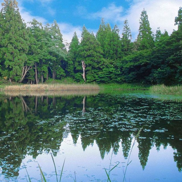 郡殿の池