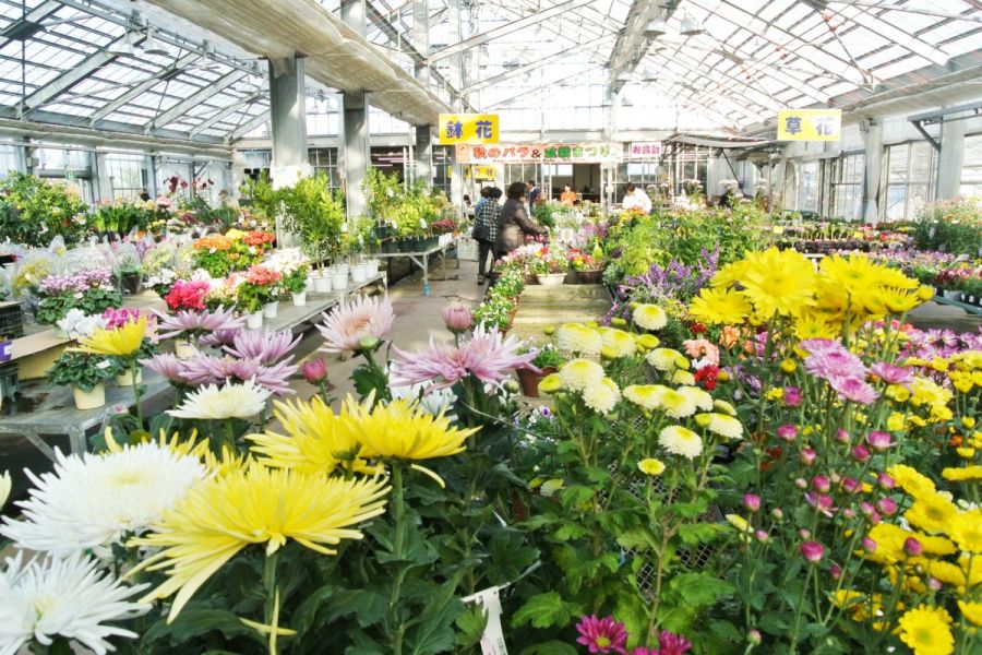 道の駅 花夢里にいつ 新潟の観光スポット 公式 新潟県のおすすめ観光 旅行情報 にいがた観光ナビ