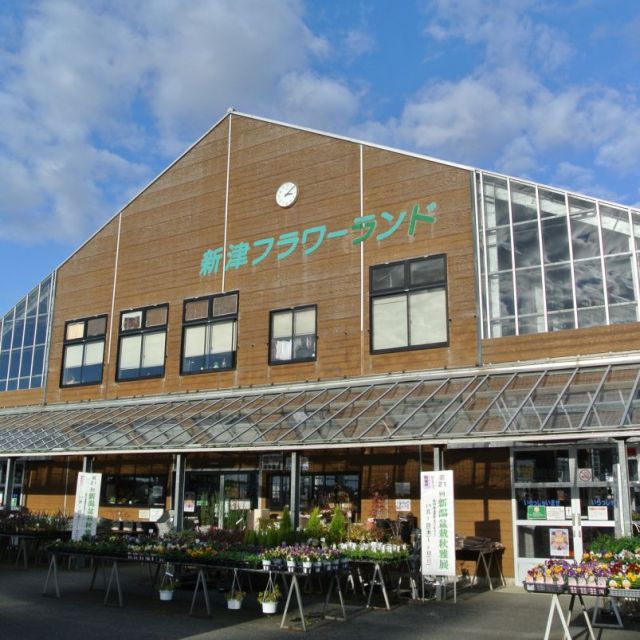 新津フラワーランド