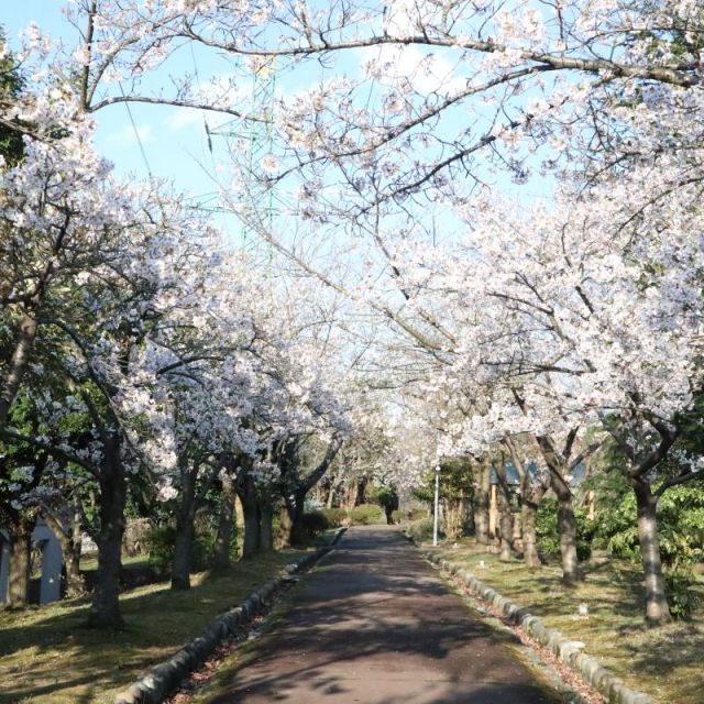 美山公園