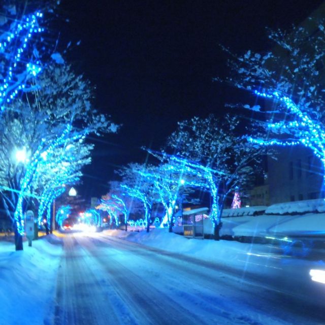 見附市街路樹イルミネーション2025