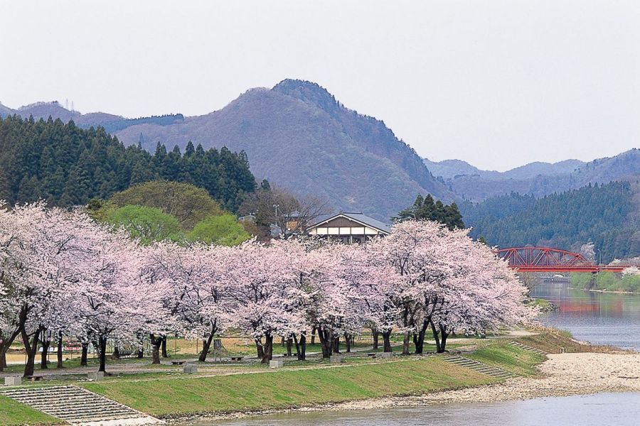 麒麟山公園｜新潟の観光スポット｜【公式】新潟県のオススメ観光・旅行情報！にいがた観光ナビ