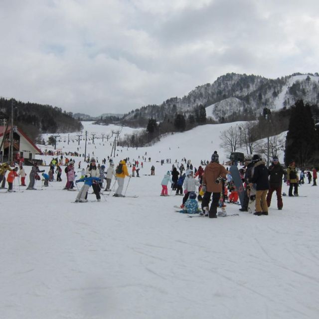 スキーゲレンデ情報 旅のテーマで探す 公式 新潟県のおすすめ観光 旅行情報 にいがた観光ナビ