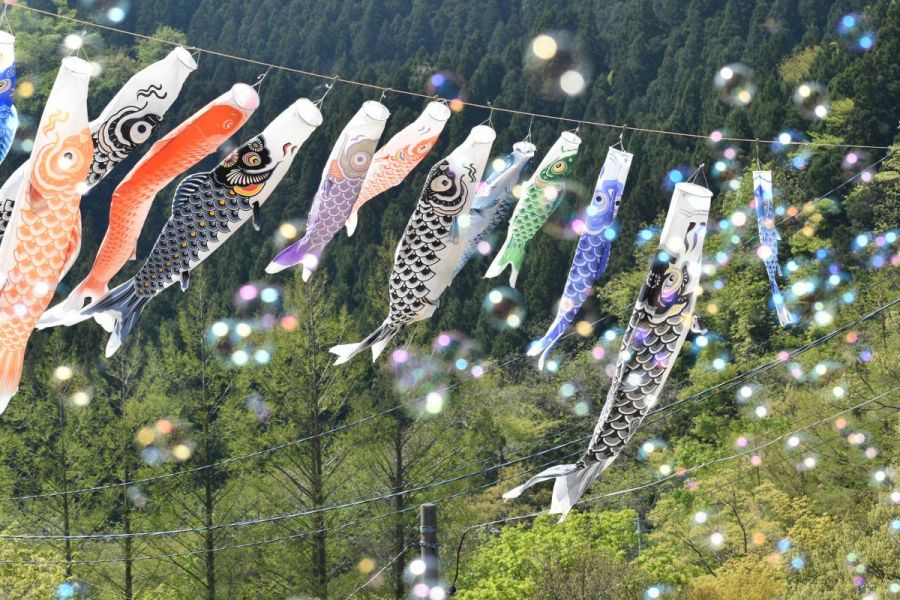 道の駅「胎内」GWイベント