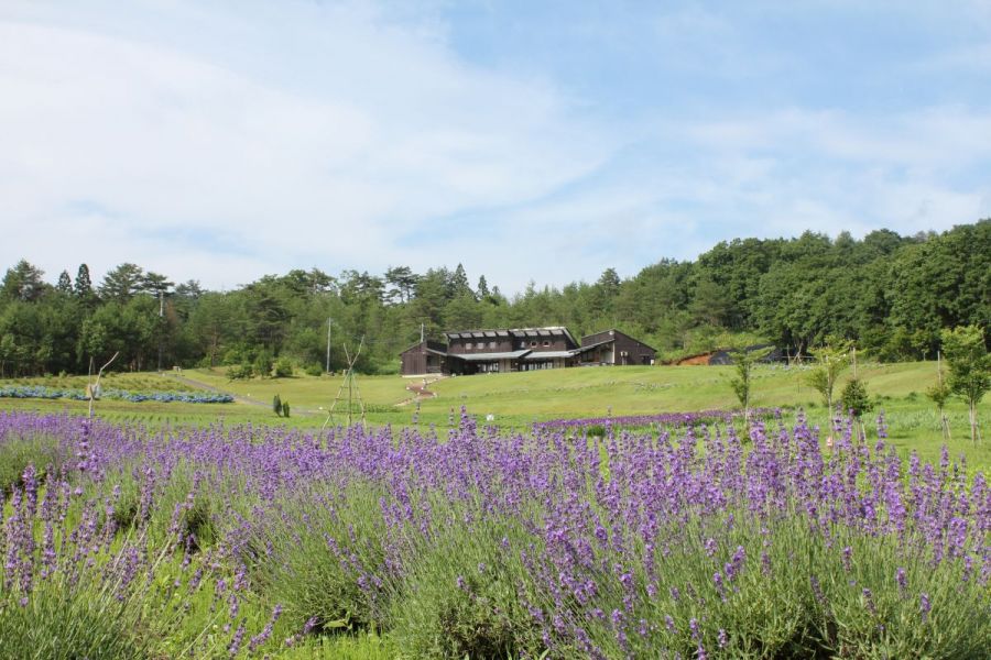 芦沢高原ハーバルパーク｜新潟の観光スポット｜【公式】新潟県の 