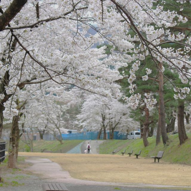 樽ケ橋
