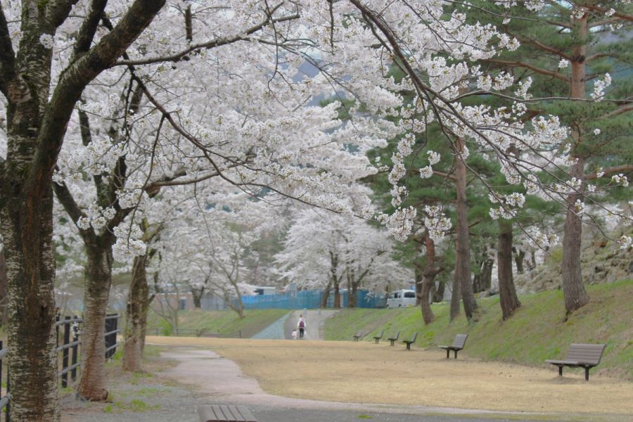 樽ケ橋