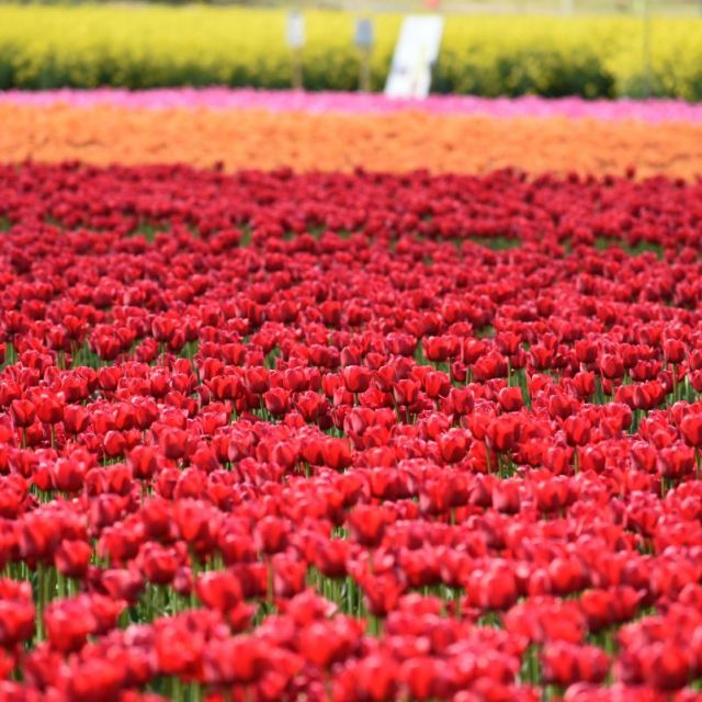 長池憩いの森公園