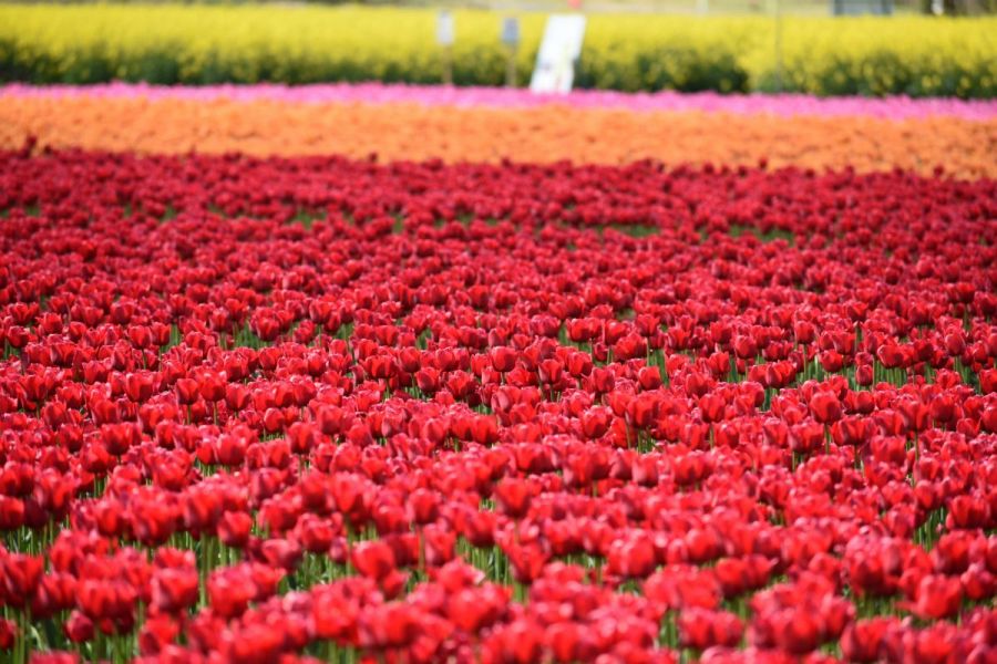 長池憩いの森公園