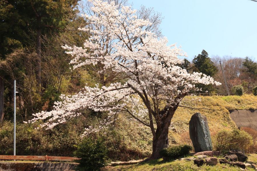 新田公園