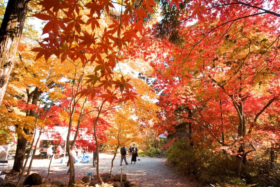 中野邸記念館｜｜【公式】新潟県のおすすめ観光・旅行情報！にいがた 