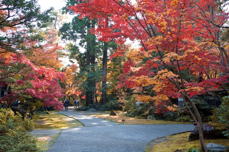 中野邸記念館 公式 新潟県のおすすめ観光 旅行情報 にいがた観光ナビ