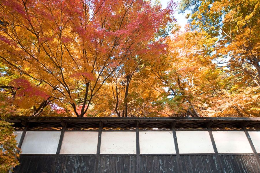 中野邸記念館 公式 新潟県のおすすめ観光 旅行情報 にいがた観光ナビ