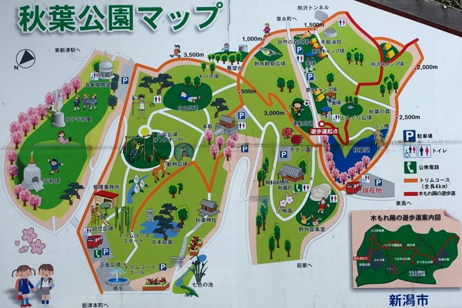 秋葉公園MAP