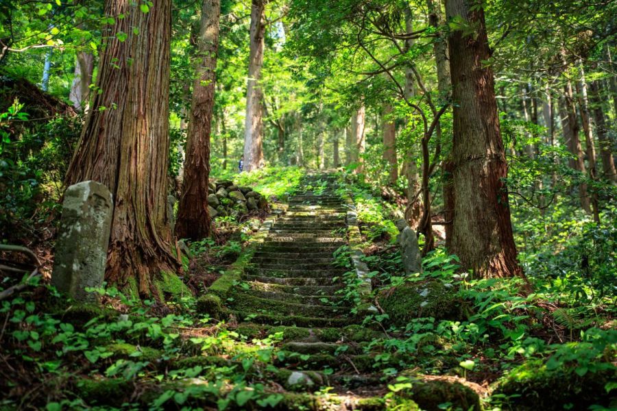 自然石の長い階段の参道