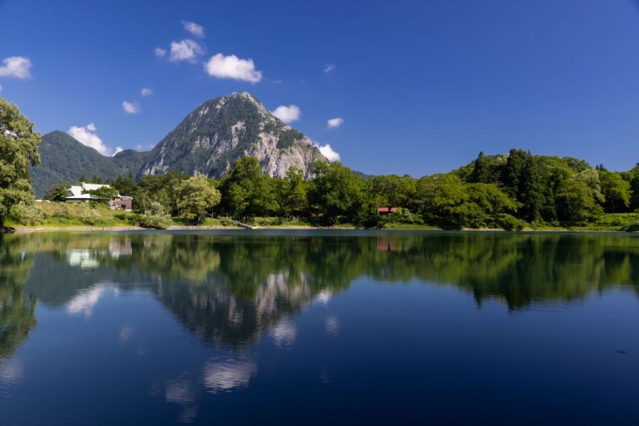 たかなみまつり