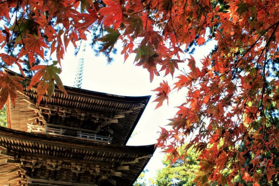 新潟県屈指の古寺「乙宝寺」など歴史的建造物をめぐる！村上・新発田・関川村の2Days