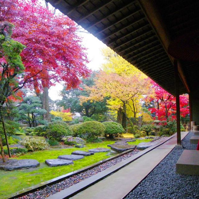 加茂・田上の豊かな自然と美しい景色を堪能する大人旅