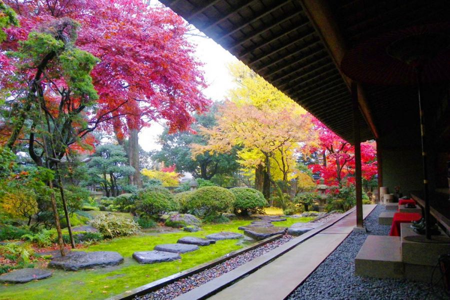 加茂・田上の豊かな自然と美しい景色を堪能する大人旅