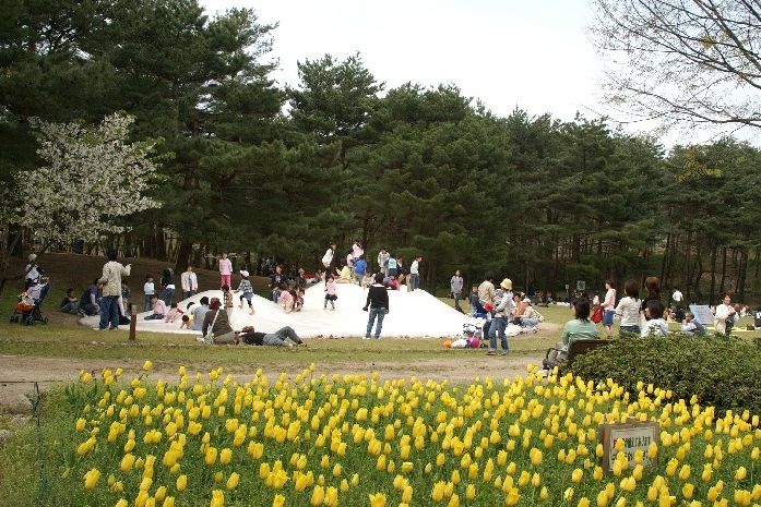 県立紫雲寺記念公園