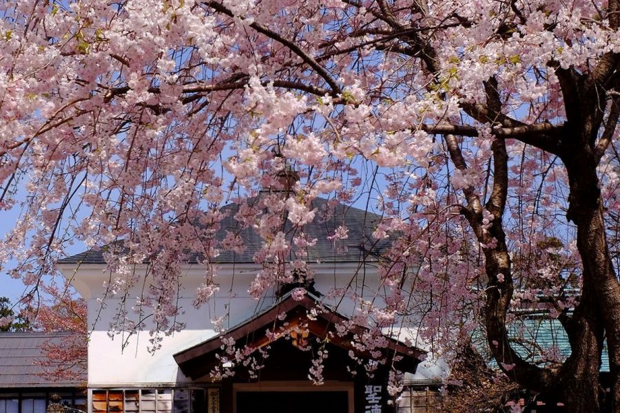 浄興寺