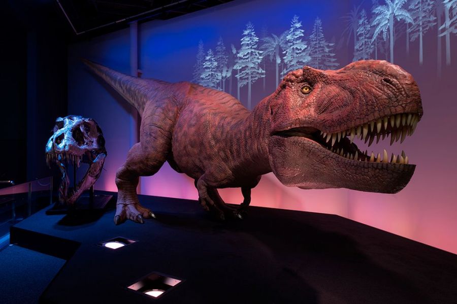 Gゾーン 生命の進化と環境　「恐竜ロボット」　吠えるティラノサウルス