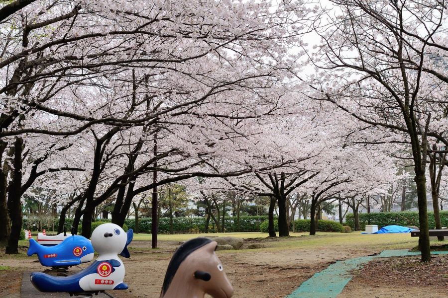 公園内には遊具も。家族で訪れてみては。