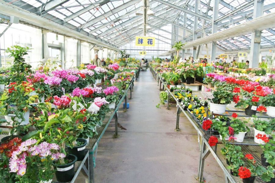 新潟県観光協会