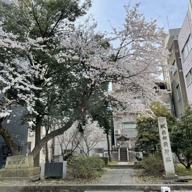 長岡城址 二の丸跡