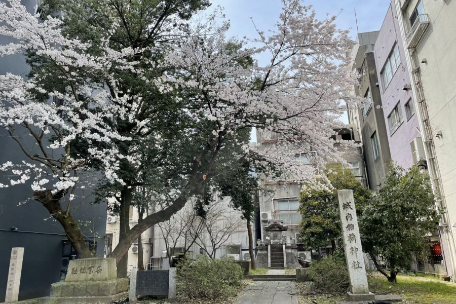 長岡城址 二の丸跡