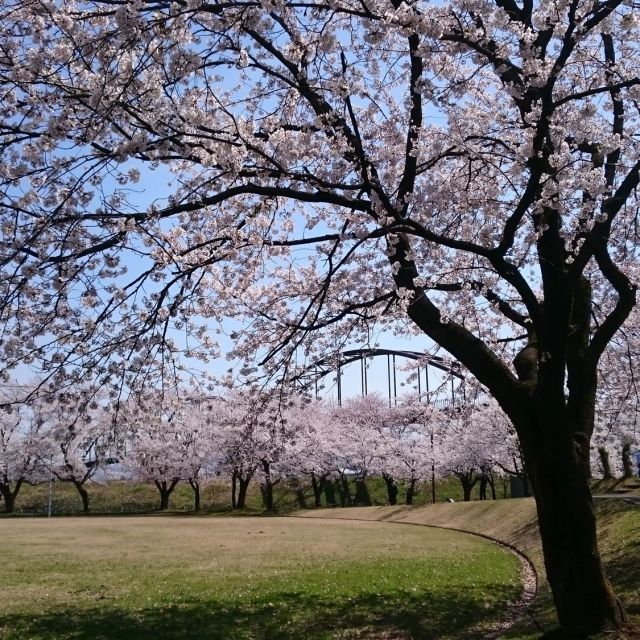 今宮公園