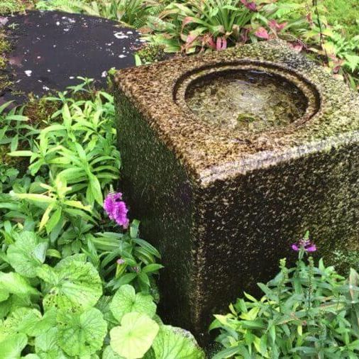 柳清水
