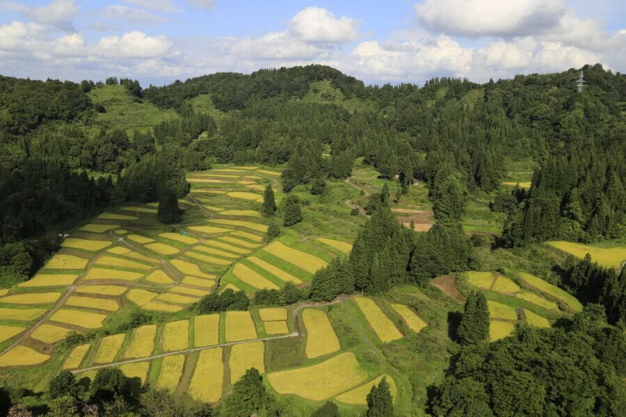 慶地の棚田