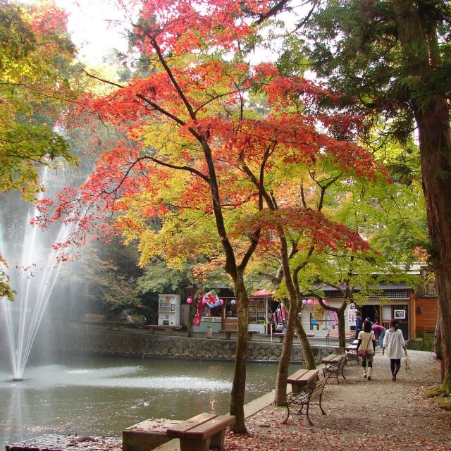 加茂山公園