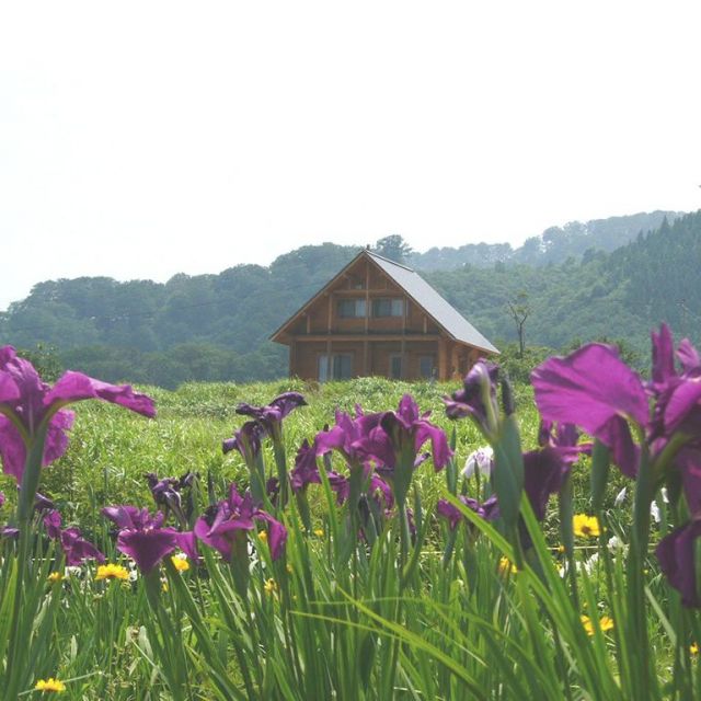 菖蒲高原