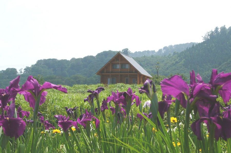 菖蒲高原