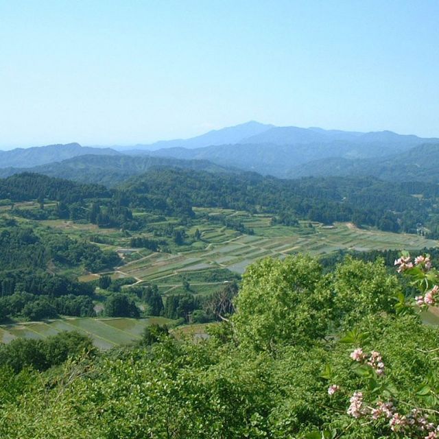 棚田風景（大島区）