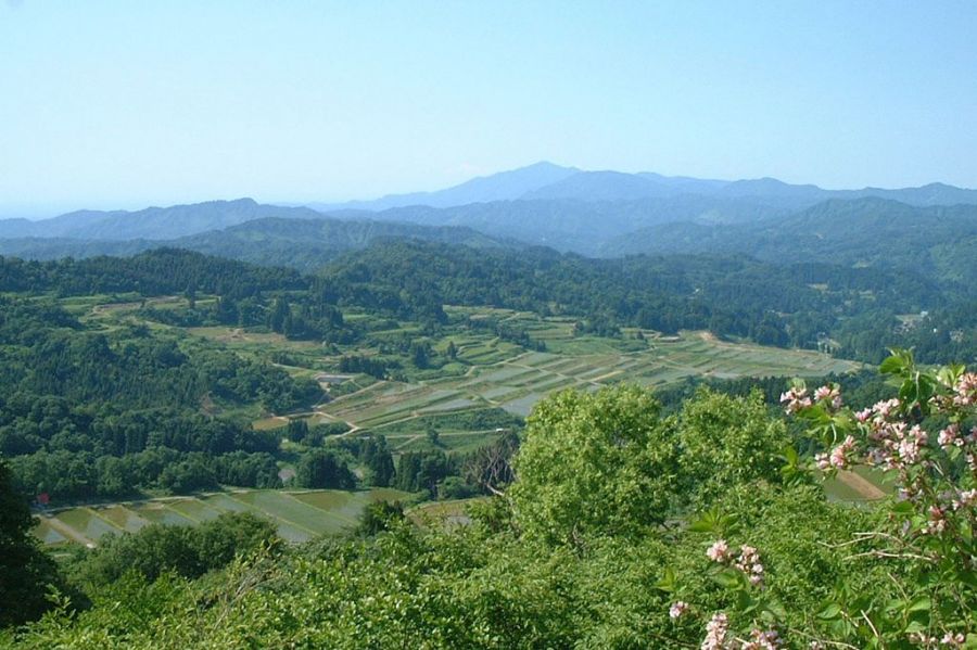 棚田風景（大島区）