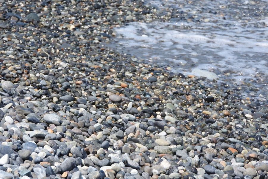 【須沢海岸】蛇紋岩、石灰岩、石英や瑪瑙など色々な石と出会える海岸。運が良ければヒスイが見つかるかも？石ころ探索キット「ひろっこ」を使って石探しに挑戦します。