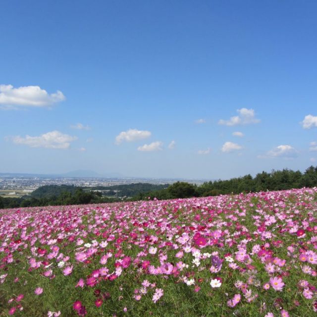 東山ふれあい農業公園