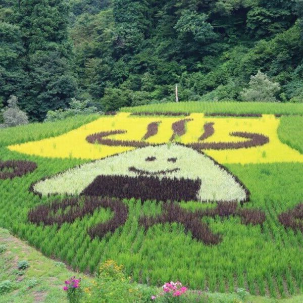 棚田アート【新潟県十日町市 松之山下布川】