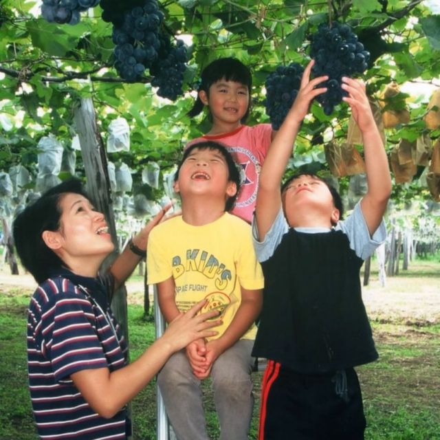 北代ぶどう園（直売のみ）