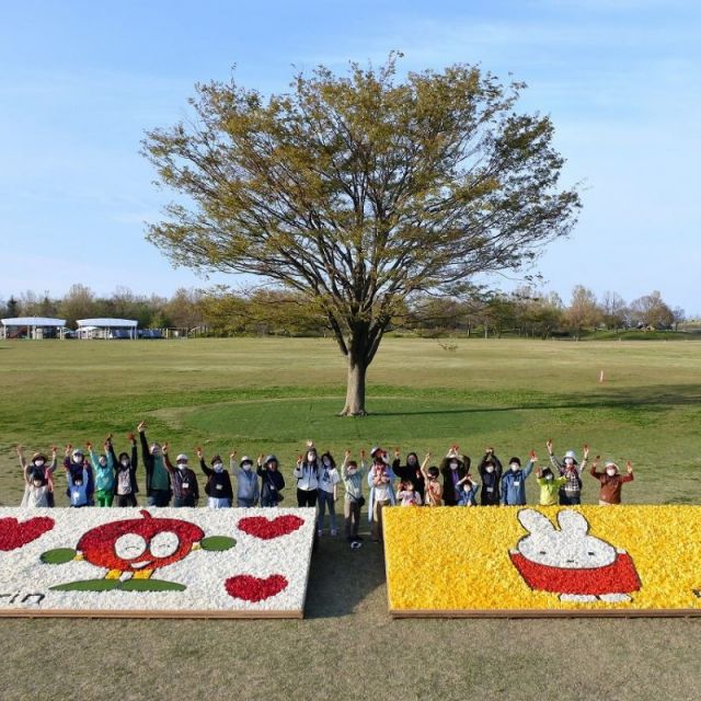 国営越後丘陵公園「花絵プロジェクト」