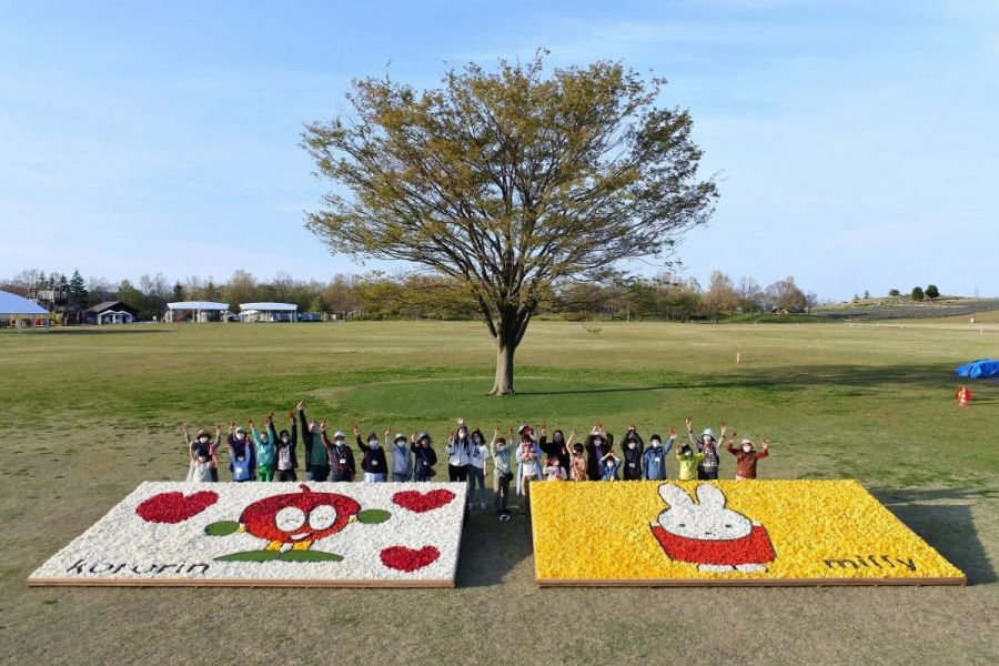 国営越後丘陵公園「花絵プロジェクト」