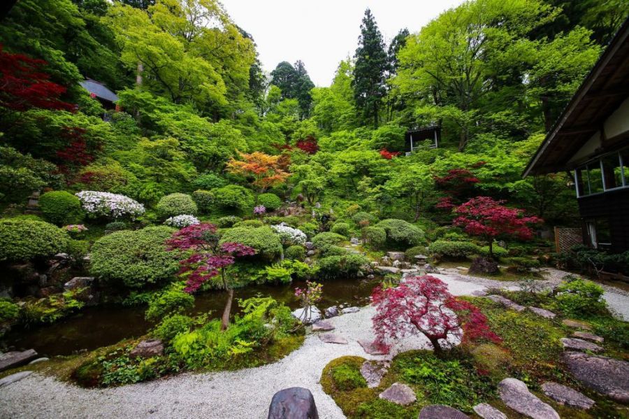 【村上ネイチャーライナー】禅寺の神聖な庭園と絹にまつわるお話