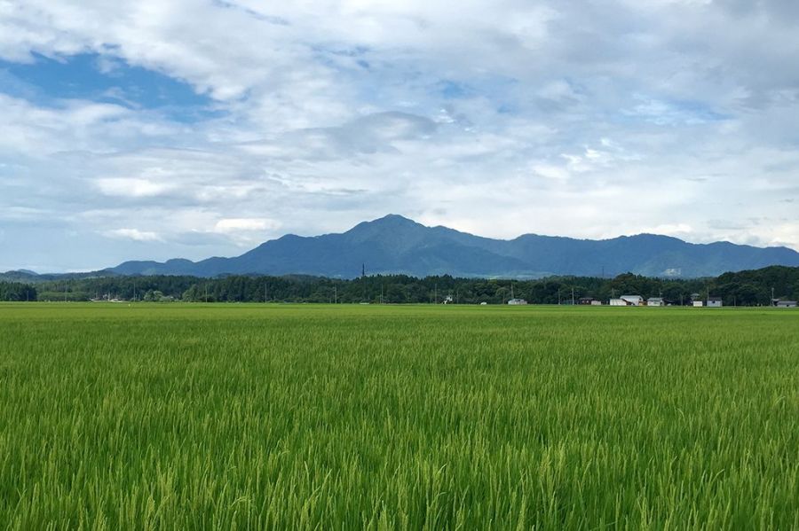 初夏の米山