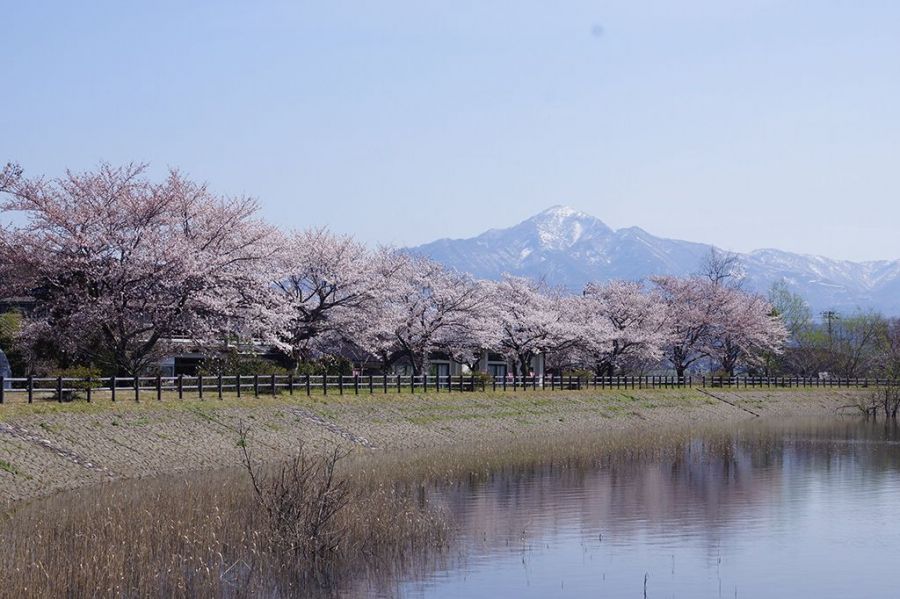 長峰池から米山を望む